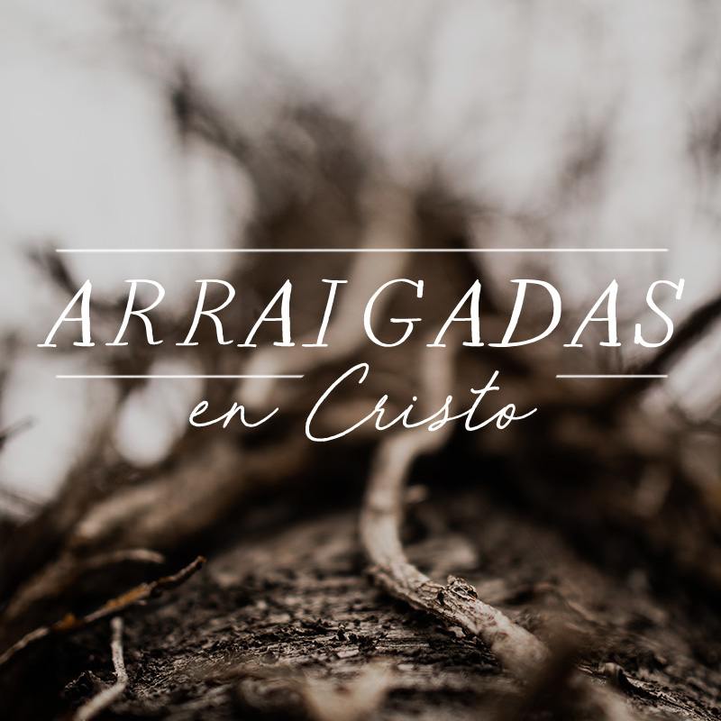 Arraigadas y edificadas