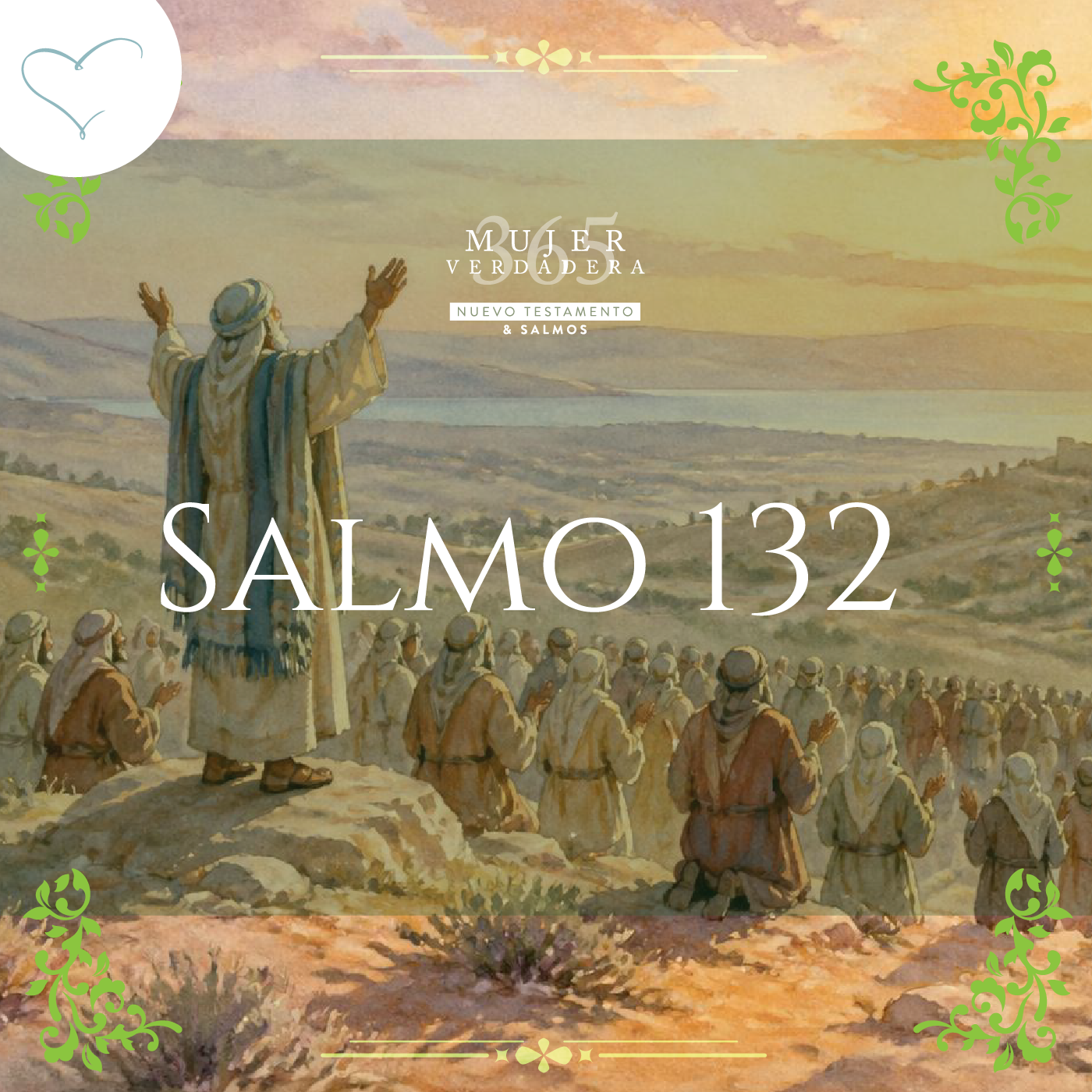 Portada de Mujer Verdadera 365: Nuevo Testamento y Salmos