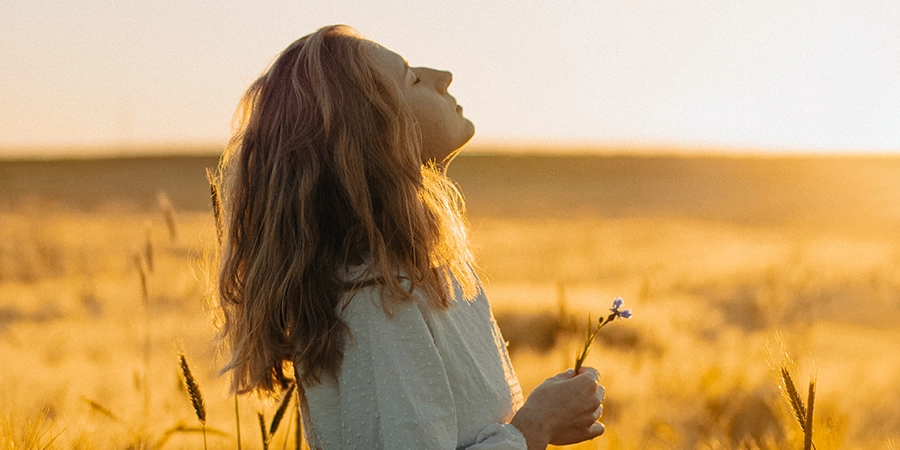 El diseño que glorifica a Dios