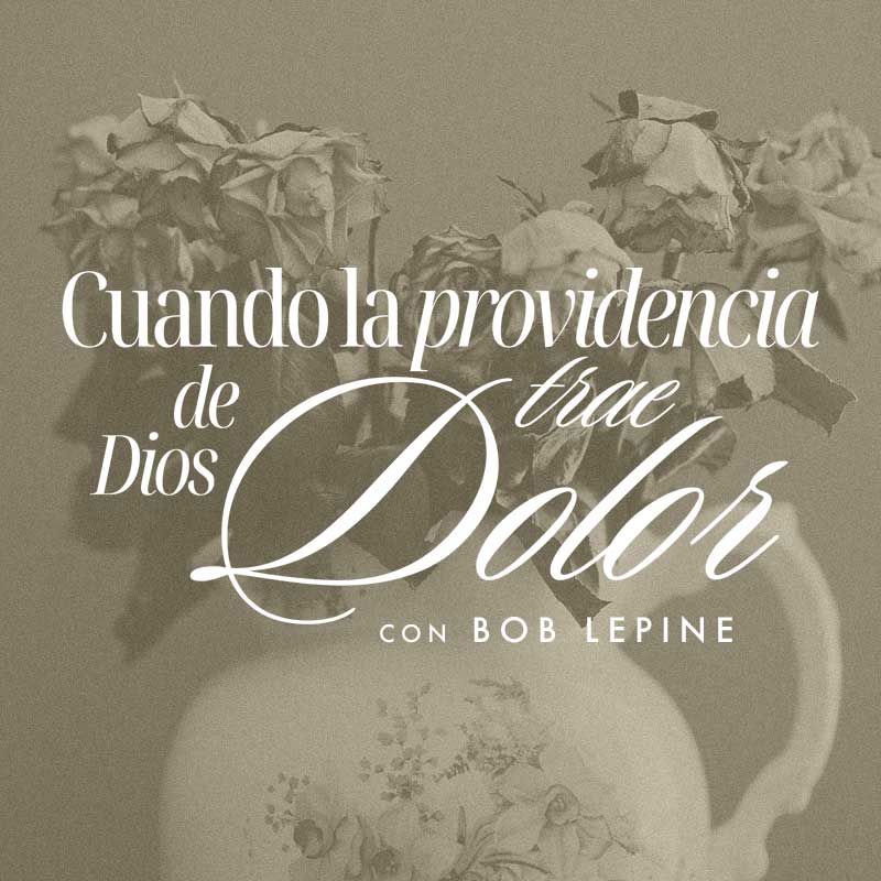 Consuelo para nuestras almas