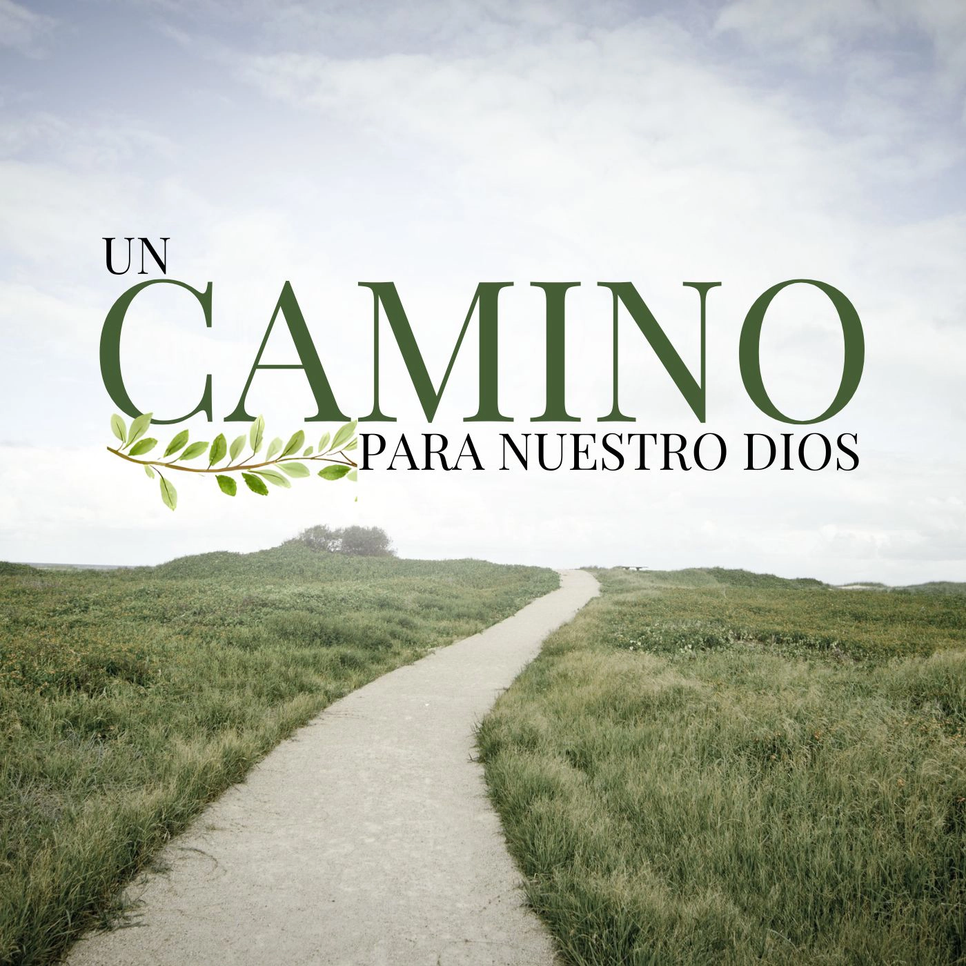 Aviva Nuestros Corazones - El camino hacia un avivamiento