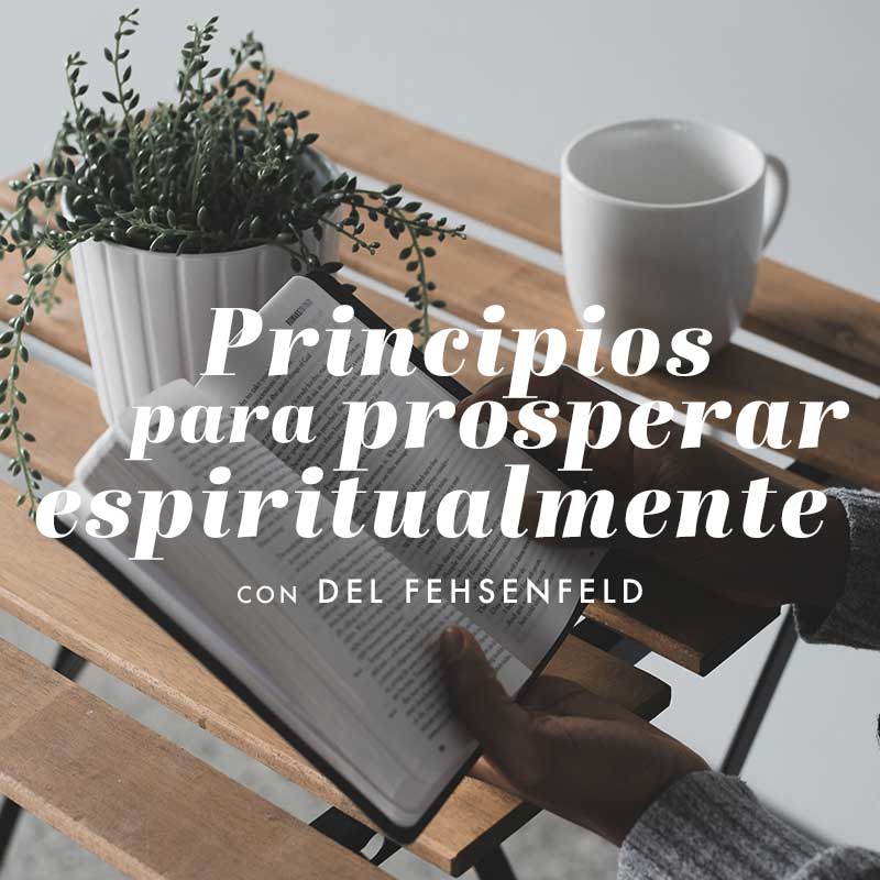 Principios para prosperar espiritualmente