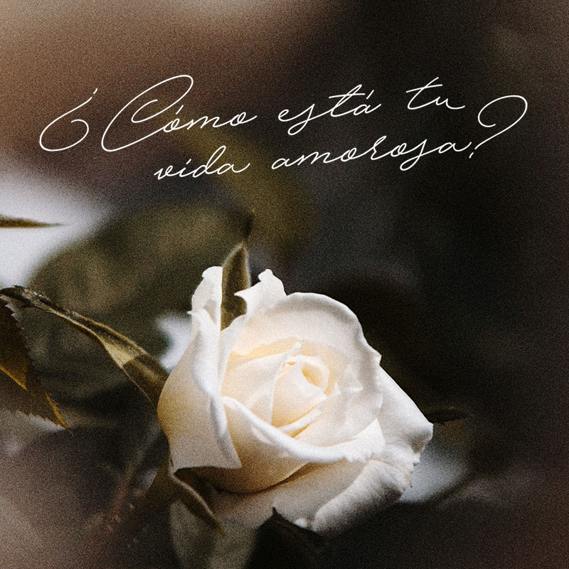 Amor para matrimonios sin esperanza