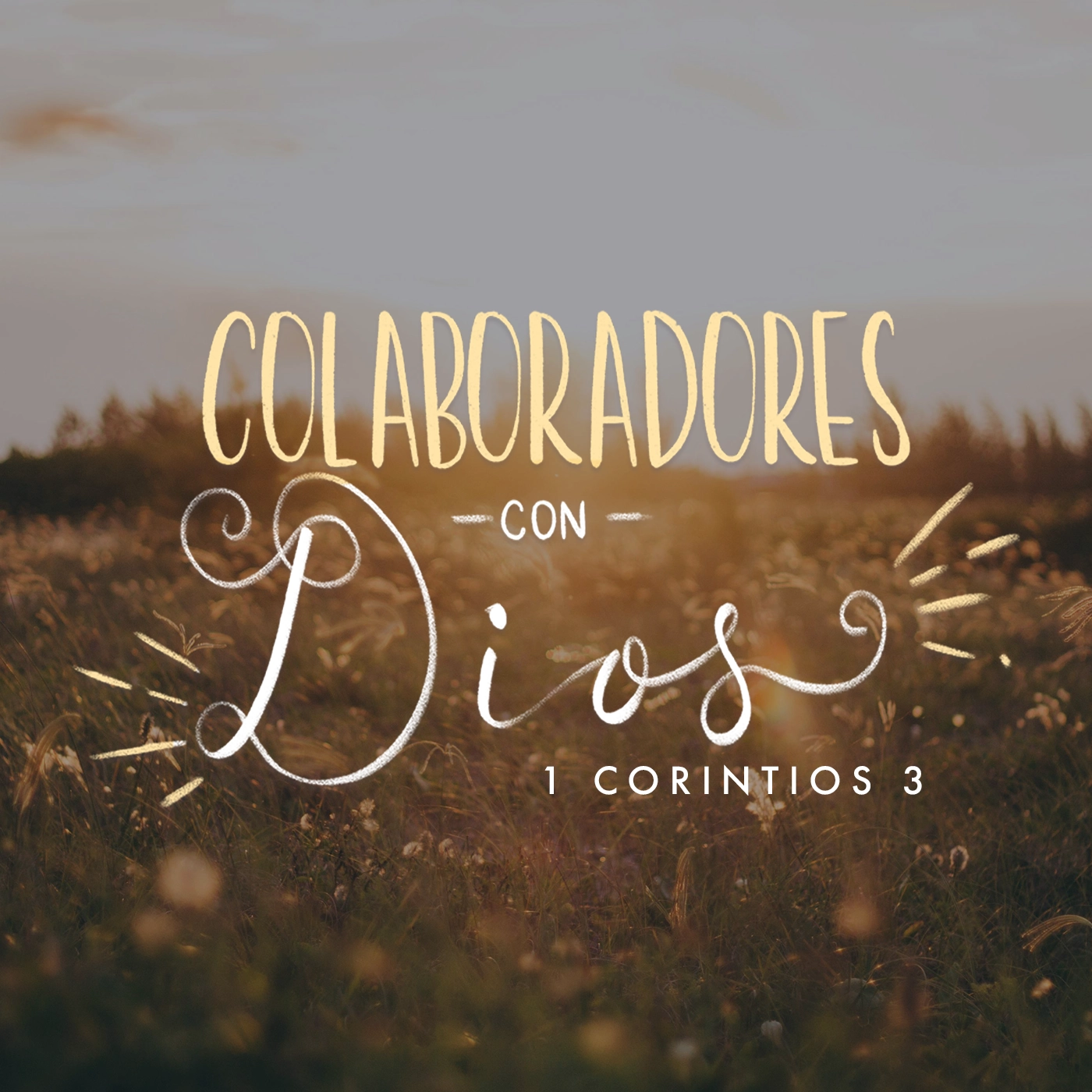Aviva Nuestros Corazones