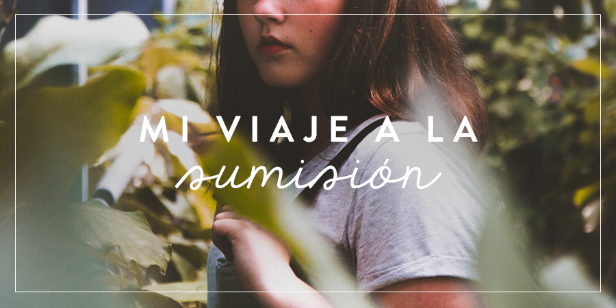 Miniatura de Mi viaje a la sumisión