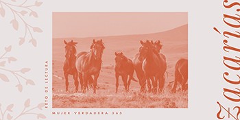 Infografía de Zacarías