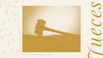 Infografía de Jueces