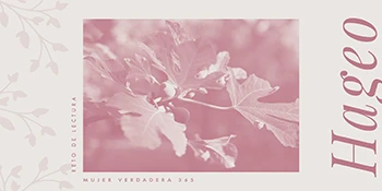 Infografía de Hageo