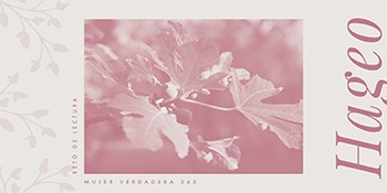 Infografía de Hageo