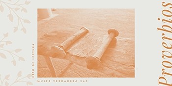 Infografía de Proverbios