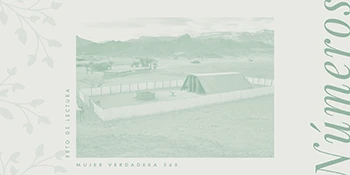 Infografía de Números